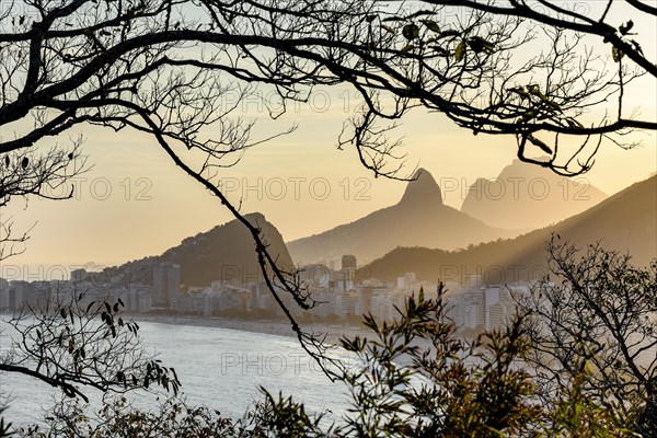 Copacabana beach in Rio de Janeiro during sunset between the vegetation on the hill