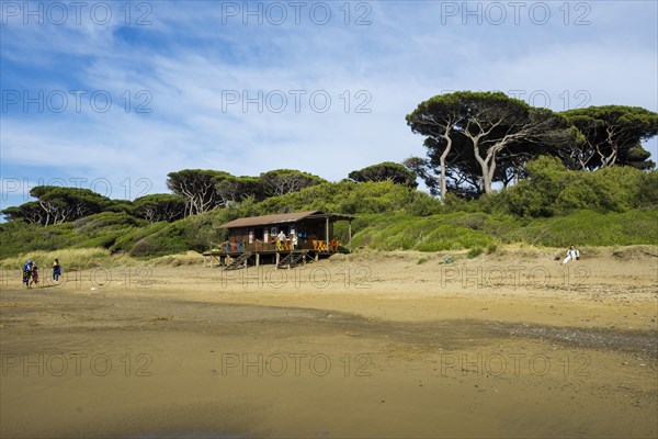 Beach bar