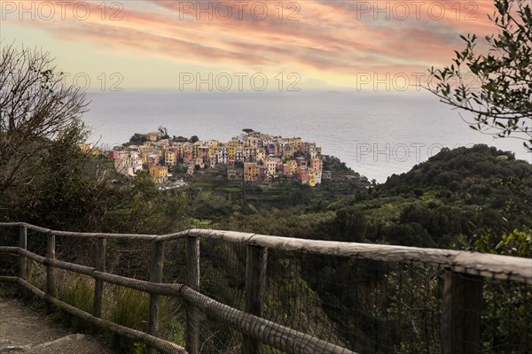 Road to Coniglia which is one of the five Cinque Terre villages in northwest Italy