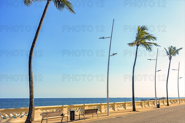 Wall of beautiful Oceanic Avenue in Salvador