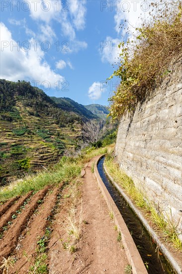 Hiking trail along the Levada Nova Hike hiking on Madeira Island