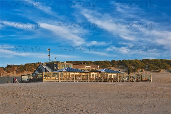 Texel