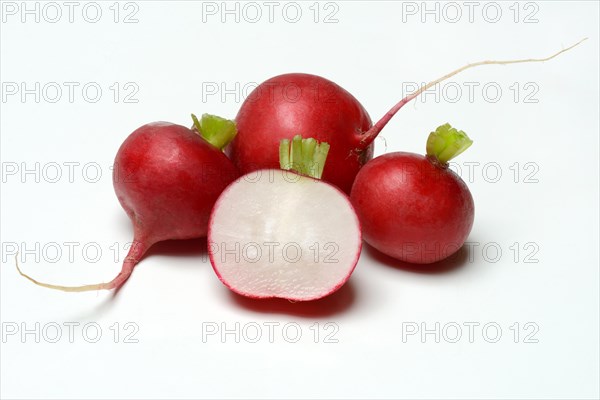 Radish