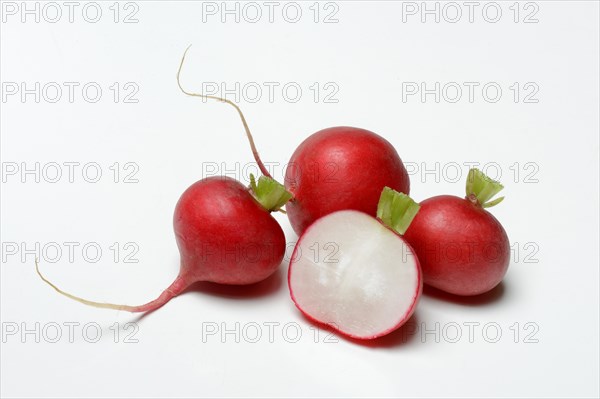 Radish