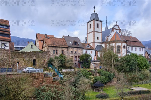 Town view of historic buildings and the Catholic Church of the Sacred Heart