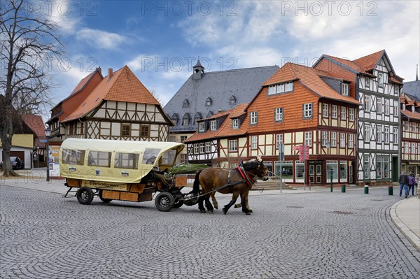 Horse-drawn cart in city center
