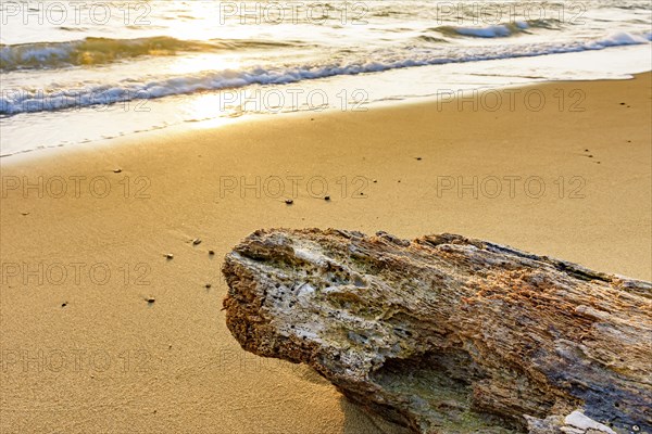 Beach during summer sunset on the tropical island of Ilhabela