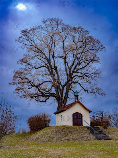 The journeyman's chapel under a summer lime tree