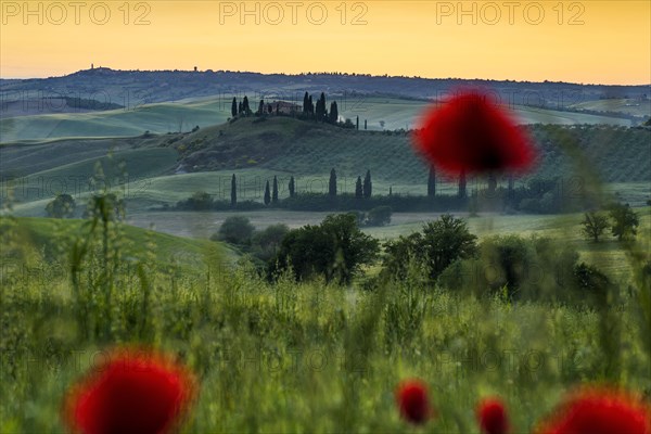 Farmhouse and cypresses