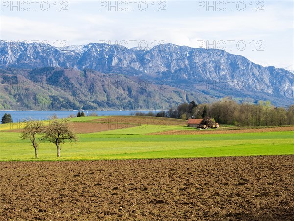 Agriculturally prepared field