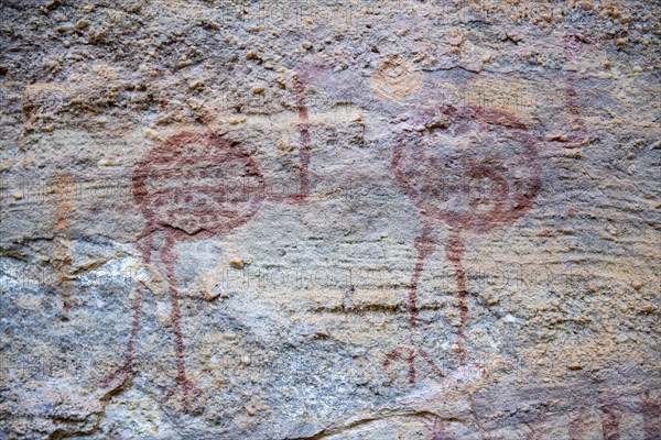 Rock art painting at Pedra Furada