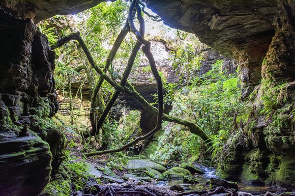 River running through stone cave in Carrancas rainforest in Minas Gerais