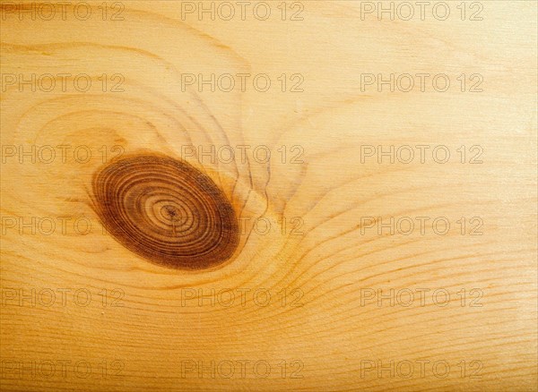 Brown pine wood background