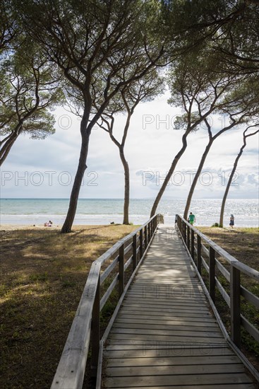 Spiaggia di Rimigliano