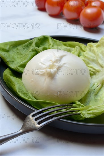 Burrata