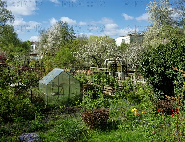 Allotment garden