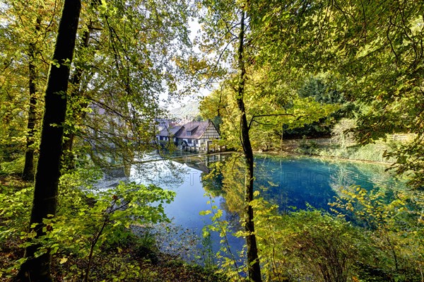 Indian Summer at the Blautopf