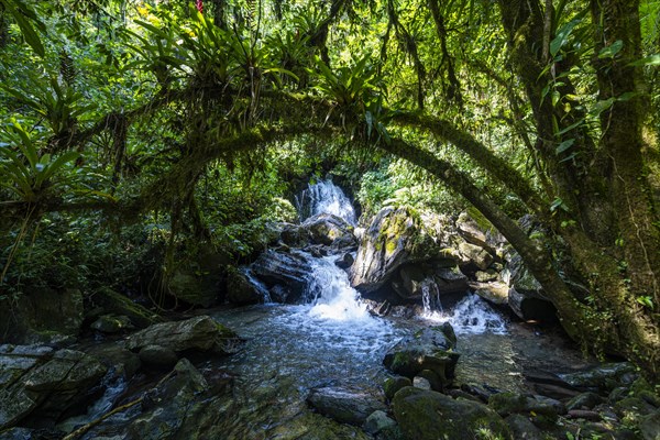 Couto waterfall