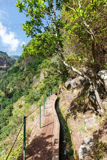 Hiking trail along the Levada Nova Hike hiking on Madeira Island