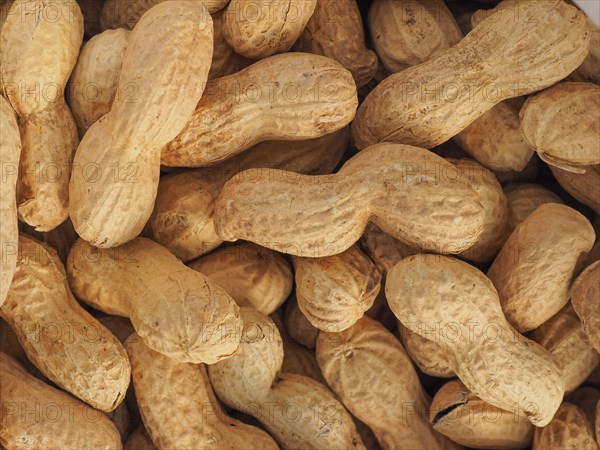 Peanuts food background