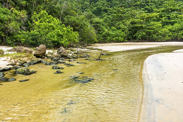 River with water running over the sand of the beach and along the forest towards the sea in Trindade in the Paraty coastal district of Rio de Janeiro