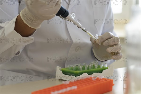 Scientist using micropipette transfer sample into micro well plate. Biosafety pharmaceutical