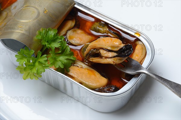 Mussels