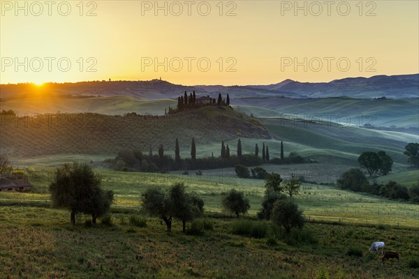 Farmhouse and cypresses