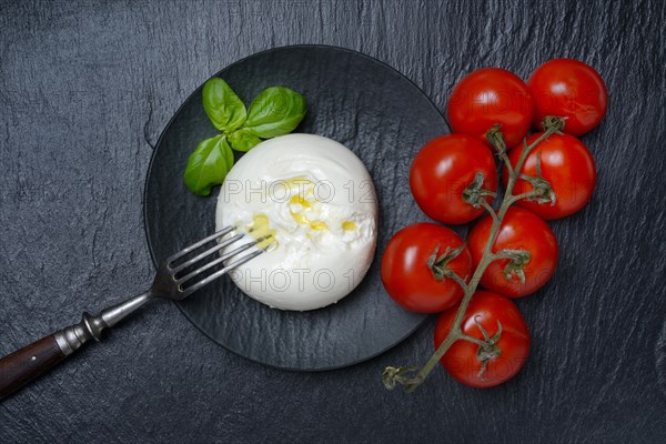 Burrata