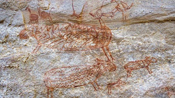 Rock art painting at Pedra Furada