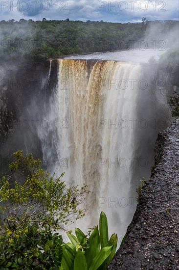 Kaieteur Falls