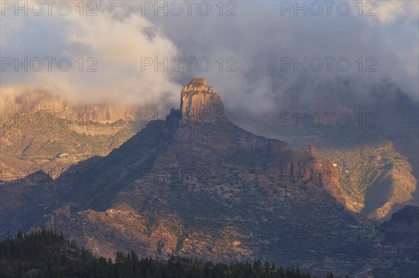 Late afternoon light