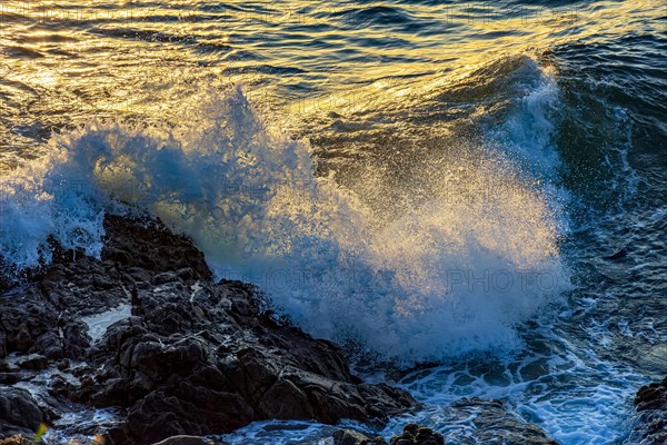 Water and sea foam splashing with the shock of waves against the rocks during sunset in the city of Salvador in Bahia