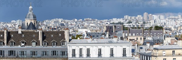 View of the rooftops of Paris