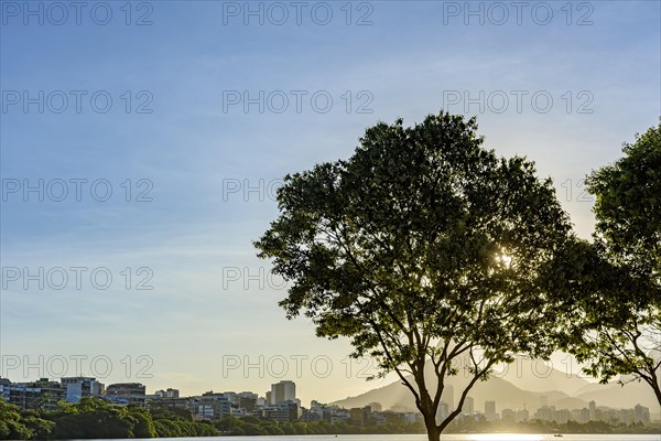 Summer sunset with city buildings and blue sky in the background at Rodrigo de Freitas Lagoon in Rio de Janeiro