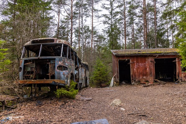 Car graveyard in the middle of the forest near Ryd