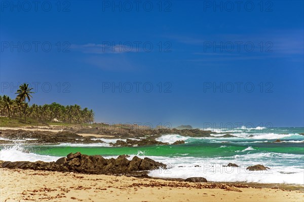 Famous Itapua beach in Salvador Bahia with waves crashing against the reefs and palm trees in the background