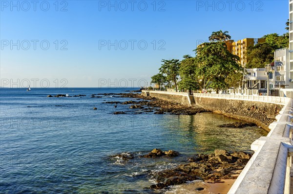 Oceanic avenue in Salvador