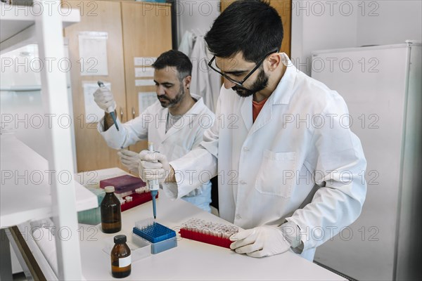 Young scientists using micropipette transfer the sample to a microwell plate
