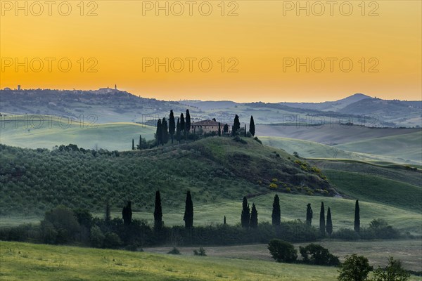 Farmhouse and cypresses