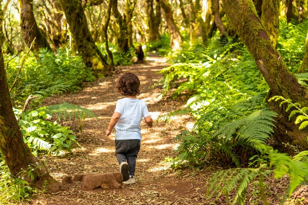 Boy walking in the natural park of La Llania in El Hierro