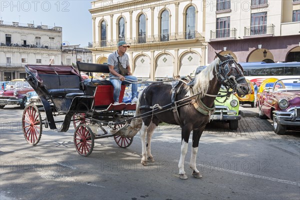 Horse-drawn carriage