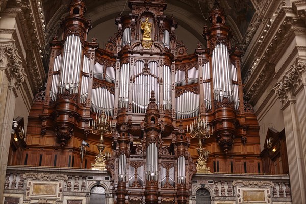 Berlinauer organ