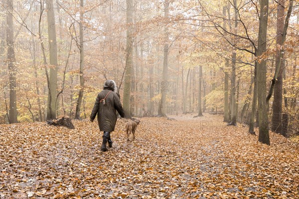 Taken in the Grunewald in Berlin