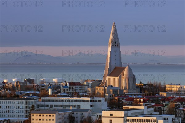 View over the Lutheran Hallgrimskirkja