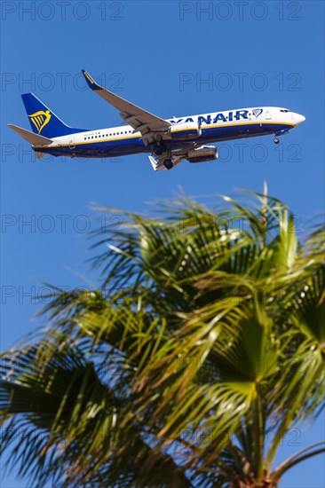 A Ryanair Boeing 737-800 aircraft with registration EI-EVG at Tenerife Airport