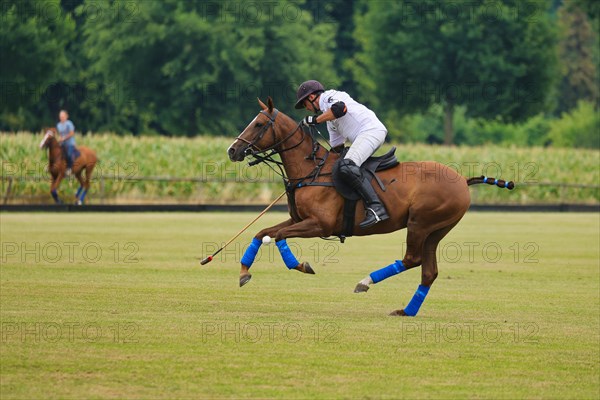 Horse polo on the Hugerlandshofweg in Muenster-Handorf