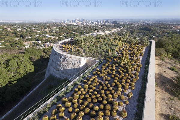 View over the cactus garden to downtown