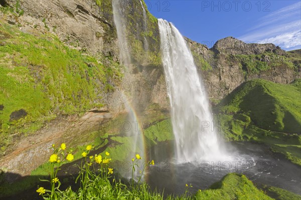 Seljalandsfoss waterfall