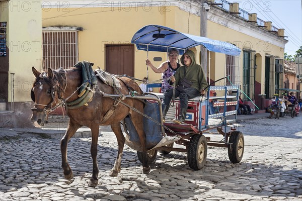 Horse-drawn carriage